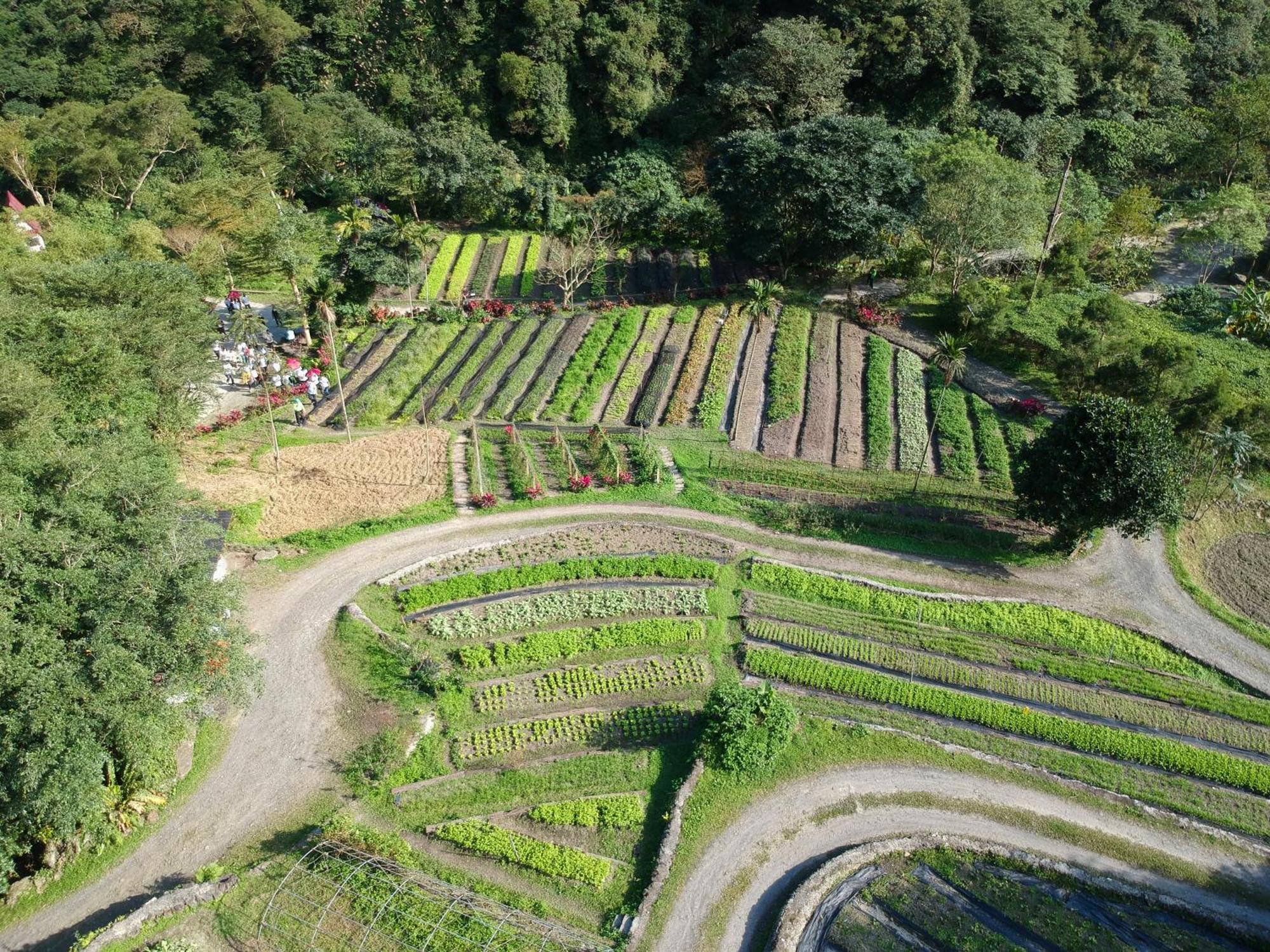 Tou-Cheng Leisure Farm Hotel Toucheng Bagian luar foto