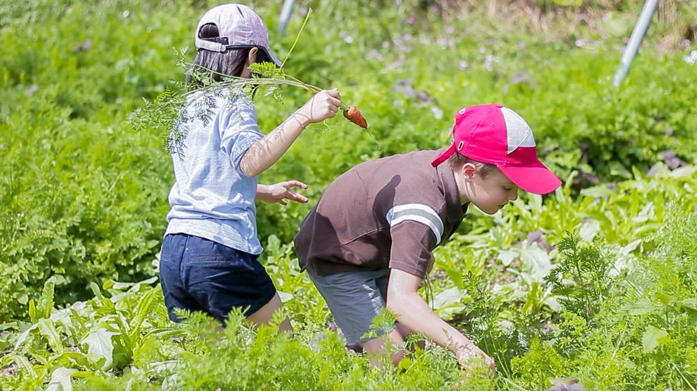 Tou-Cheng Leisure Farm Hotel Toucheng Bagian luar foto
