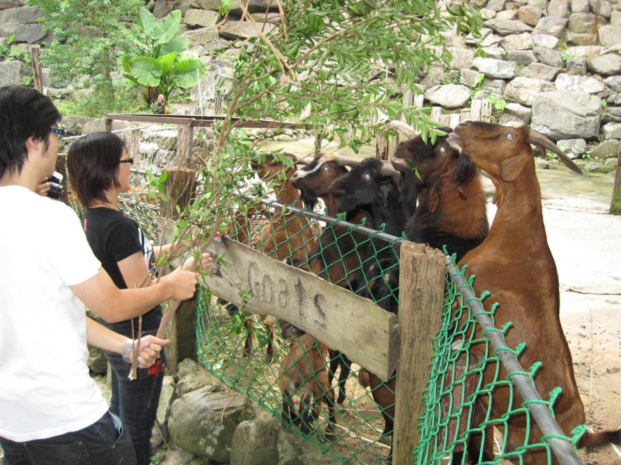 Tou-Cheng Leisure Farm Hotel Toucheng Bagian luar foto